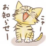 |*･ω･)ﾁﾗｯ
