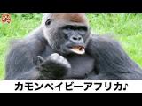 【お知らせ】