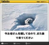 【お知らせ】