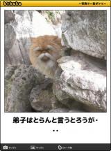 【お知らせ】