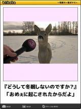 感謝━━━(≧∀≦人)━━━感謝
