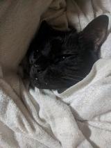 お久しぶりです〜♪
