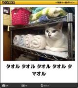 【お知らせ】