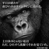【お知らせ】