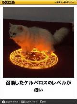 【お知らせ】