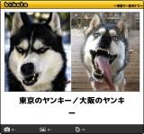 【お知らせ】