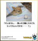 【お知らせ】