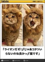 [お題]from:あの日、知恵熱が出たさん