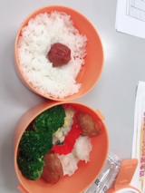 今日の