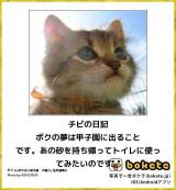 【お知らせ】