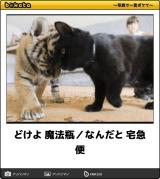 【お知らせ】