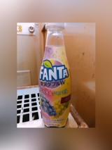 おはようございます(￣∇￣)