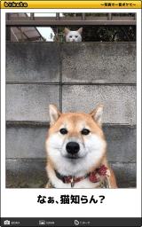 【お知らせ】
