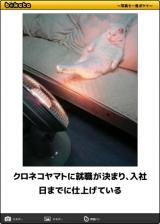 【お知らせ】