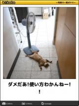 【お知らせ】