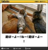 【お知らせ】