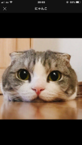 (　ﾟдﾟ)