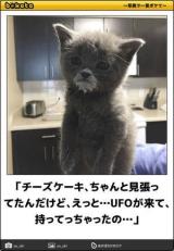 【お知らせ】