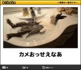 [お題]from:F５で更新さん