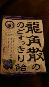 ブルーベリー(*´∀｀)