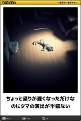 【お知らせ】