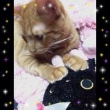 出勤してました！