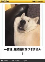 【お知らせ】