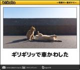 【お知らせ】