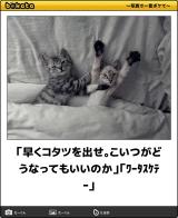 [お題]from:とらをさん