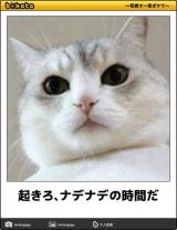 【お知らせ】
