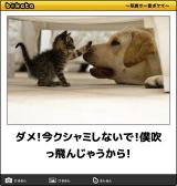 [お題]from:ハッシュポテト最強さん