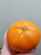 みかん