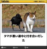 [お題]from:お鍋好きさん