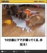 [お題]from:さだはるさん