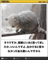 【お知らせ】