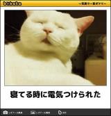 【お知らせ】