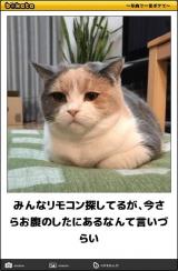 [お題]from:智さん