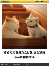 【お知らせ】