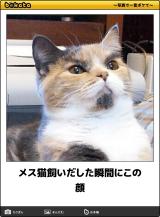 【お知らせ】