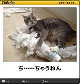 【お知らせ】