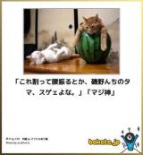 【お知らせ】