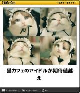 【お知らせ】