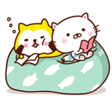 おはようございます！