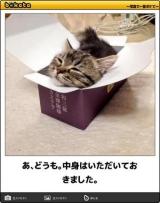 [お題]from:なさやささん