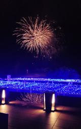 花火〜🎆