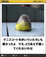【お知らせ】