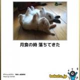 【お知らせ】