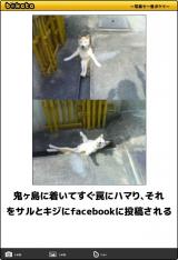 [お題]from:夏男さん