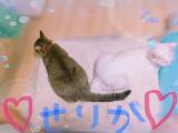 微妙...(*μ_μ)