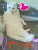 あまりにも˚‧º·(´ฅωฅ｀)‧º·˚